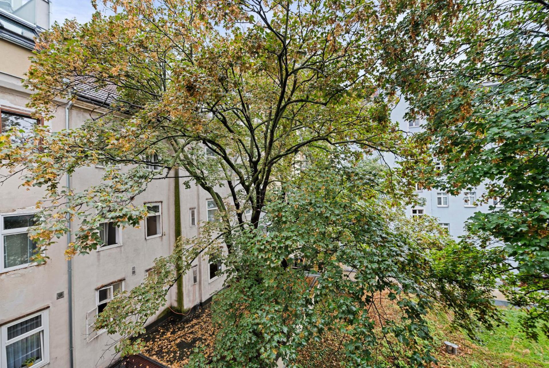 Cozy, Generous - 10 Min To City-centre - Contactless 24h Check-in Appartement Vienne